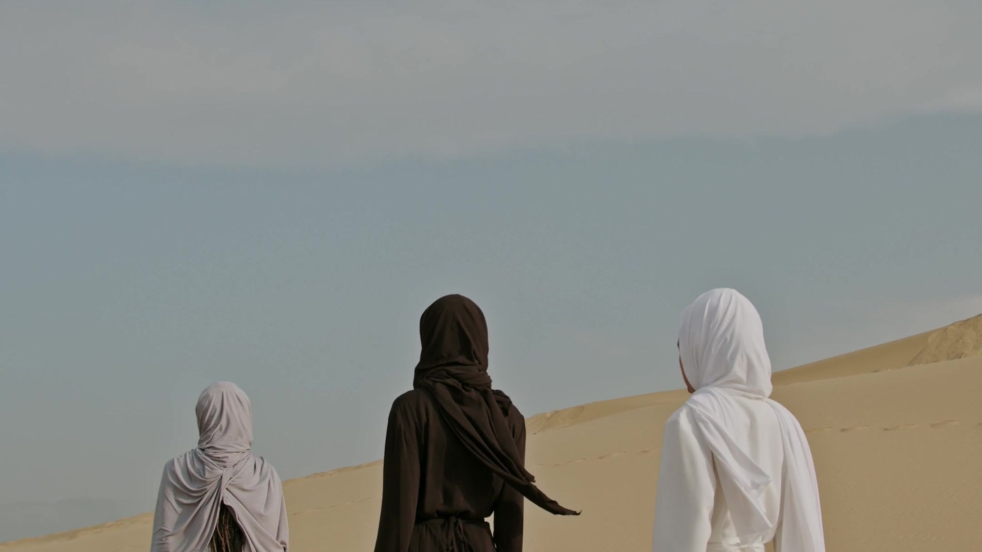 Magnificent Desert or Escalating Drought?