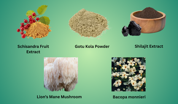 CogniSurge Overall Ingredients