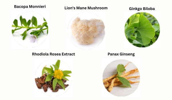 MemoShield Ingredients