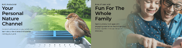 ChirpyCharm Benefits